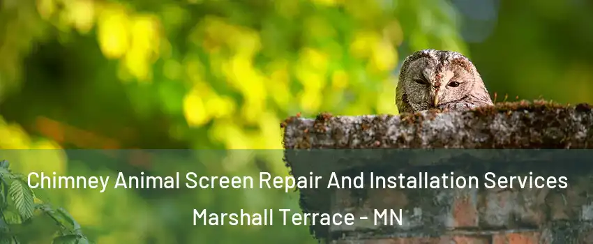 Chimney Animal Screen Repair And Installation Services Marshall Terrace - MN