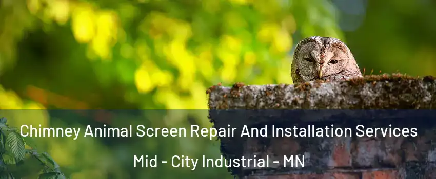 Chimney Animal Screen Repair And Installation Services Mid - City Industrial - MN