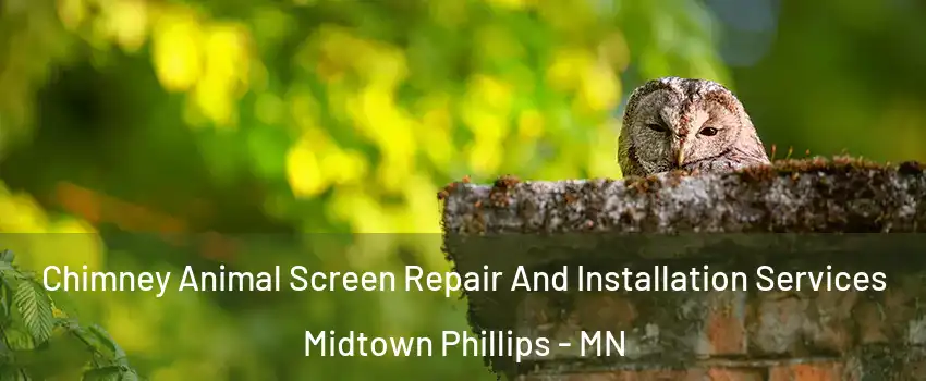Chimney Animal Screen Repair And Installation Services Midtown Phillips - MN