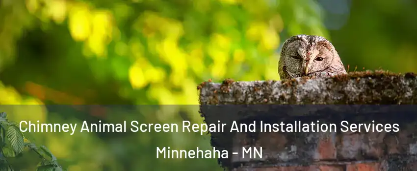 Chimney Animal Screen Repair And Installation Services Minnehaha - MN
