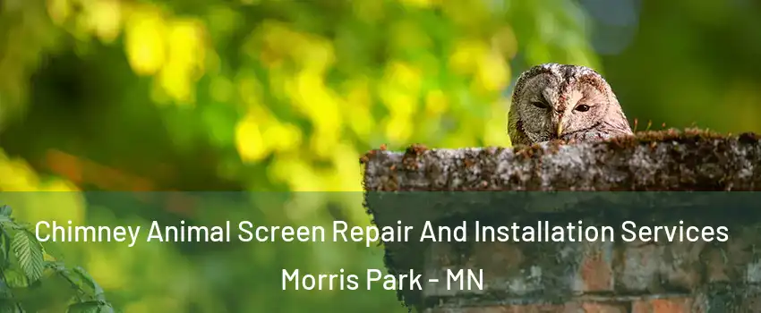 Chimney Animal Screen Repair And Installation Services Morris Park - MN