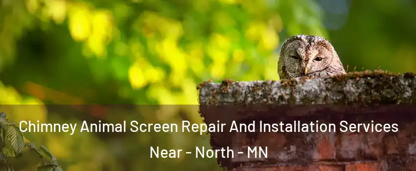 Chimney Animal Screen Repair And Installation Services Near - North - MN