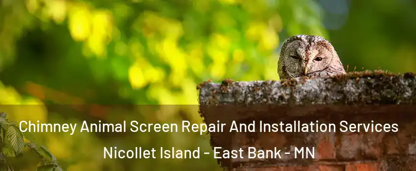 Chimney Animal Screen Repair And Installation Services Nicollet Island - East Bank - MN