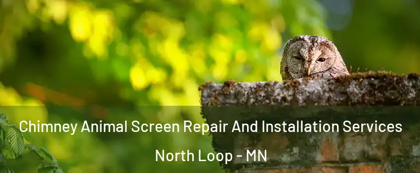 Chimney Animal Screen Repair And Installation Services North Loop - MN