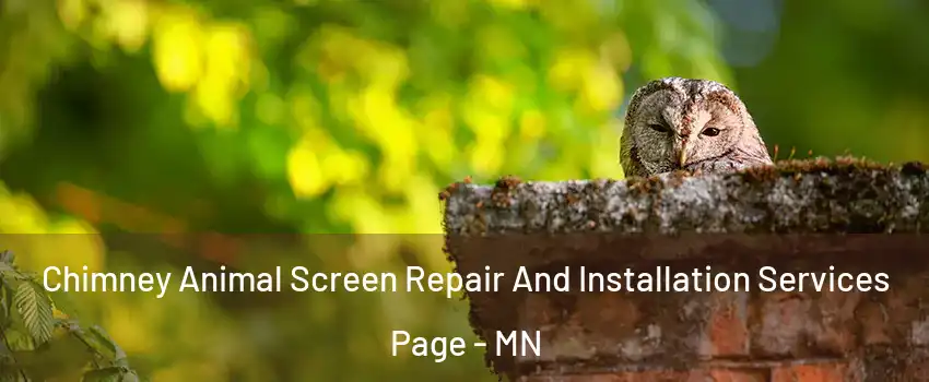 Chimney Animal Screen Repair And Installation Services Page - MN