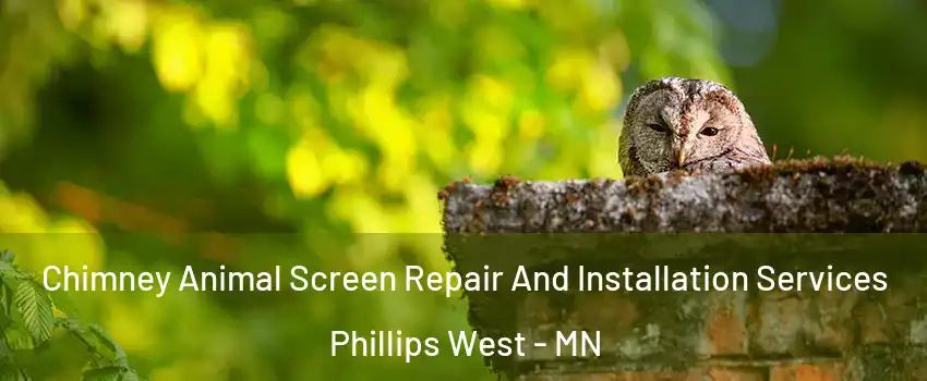 Chimney Animal Screen Repair And Installation Services Phillips West - MN
