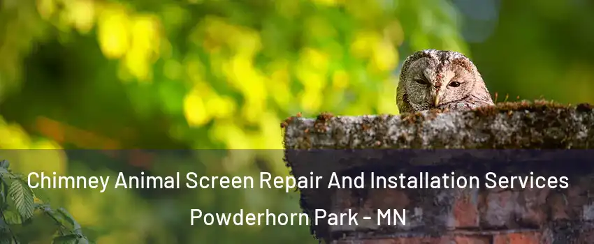 Chimney Animal Screen Repair And Installation Services Powderhorn Park - MN