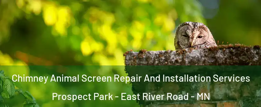 Chimney Animal Screen Repair And Installation Services Prospect Park - East River Road - MN