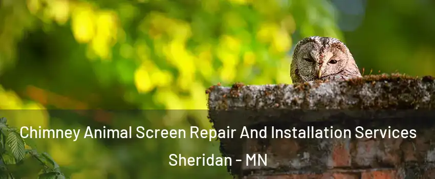 Chimney Animal Screen Repair And Installation Services Sheridan - MN
