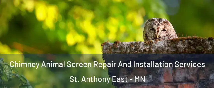 Chimney Animal Screen Repair And Installation Services St. Anthony East - MN