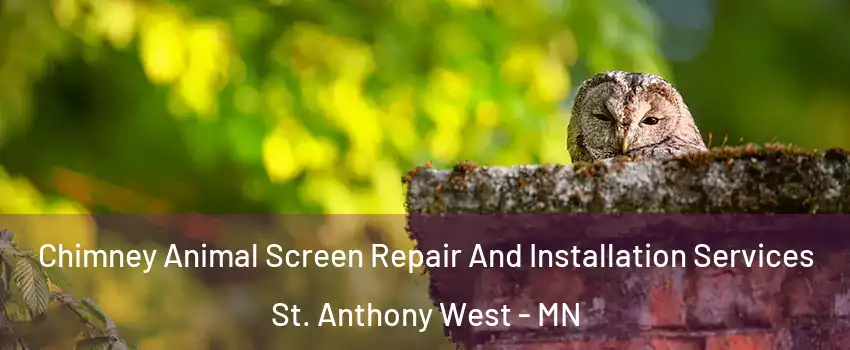 Chimney Animal Screen Repair And Installation Services St. Anthony West - MN
