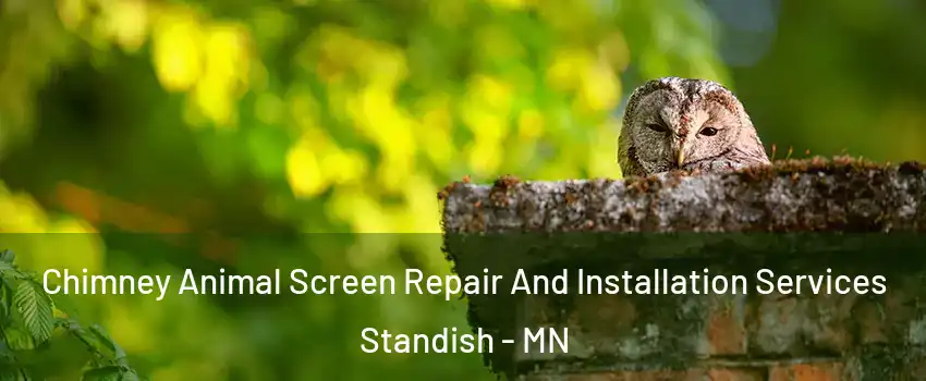 Chimney Animal Screen Repair And Installation Services Standish - MN