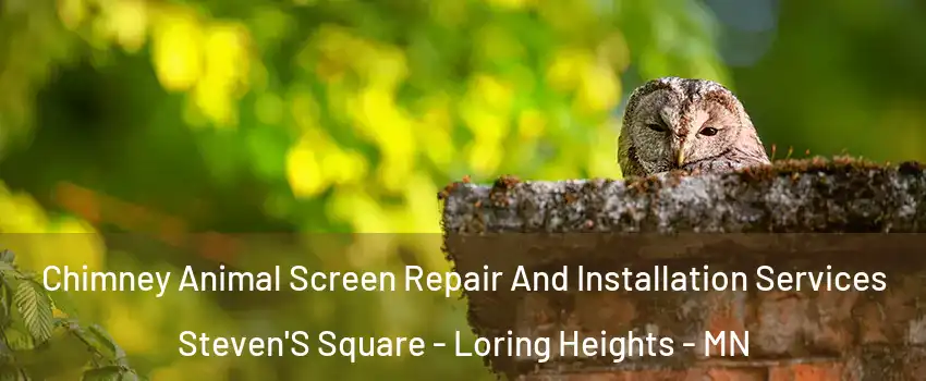 Chimney Animal Screen Repair And Installation Services Steven'S Square - Loring Heights - MN