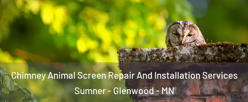 Chimney Animal Screen Repair And Installation Services Sumner - Glenwood - MN