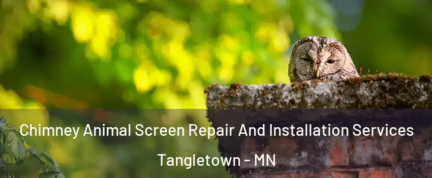 Chimney Animal Screen Repair And Installation Services Tangletown - MN