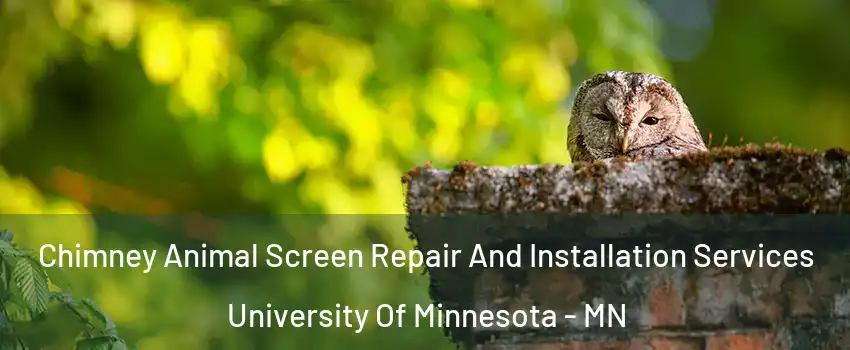 Chimney Animal Screen Repair And Installation Services University Of Minnesota - MN