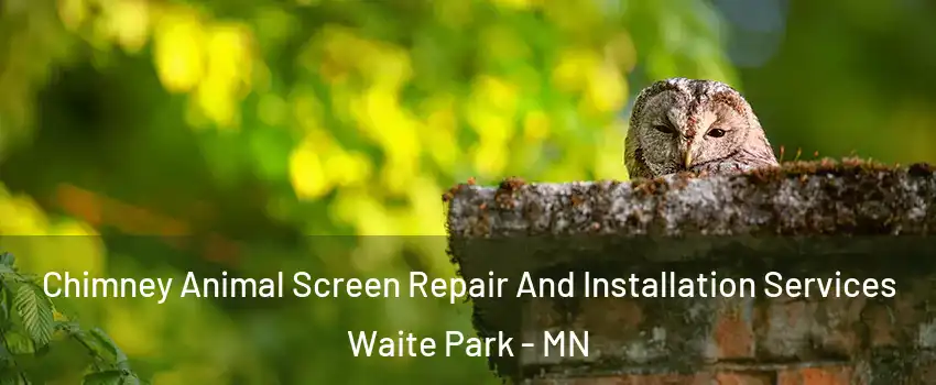 Chimney Animal Screen Repair And Installation Services Waite Park - MN