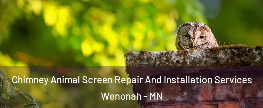 Chimney Animal Screen Repair And Installation Services Wenonah - MN