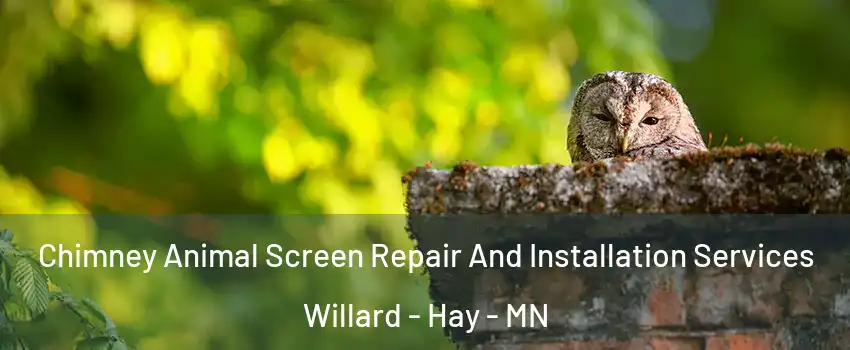 Chimney Animal Screen Repair And Installation Services Willard - Hay - MN