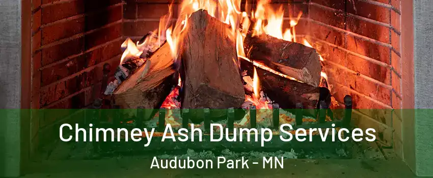Chimney Ash Dump Services Audubon Park - MN