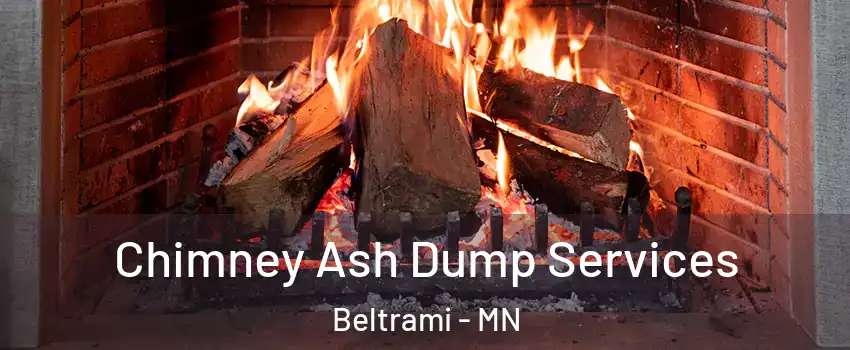 Chimney Ash Dump Services Beltrami - MN