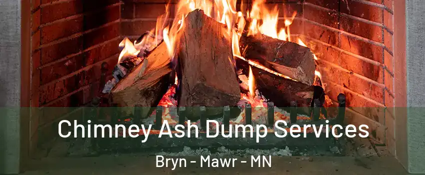 Chimney Ash Dump Services Bryn - Mawr - MN