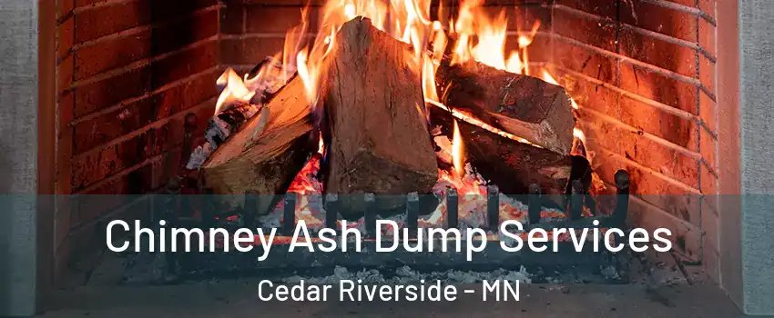 Chimney Ash Dump Services Cedar Riverside - MN