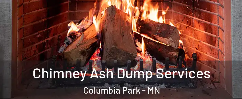 Chimney Ash Dump Services Columbia Park - MN