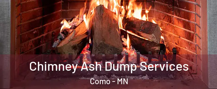 Chimney Ash Dump Services Como - MN