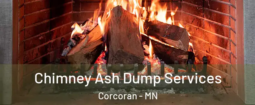 Chimney Ash Dump Services Corcoran - MN