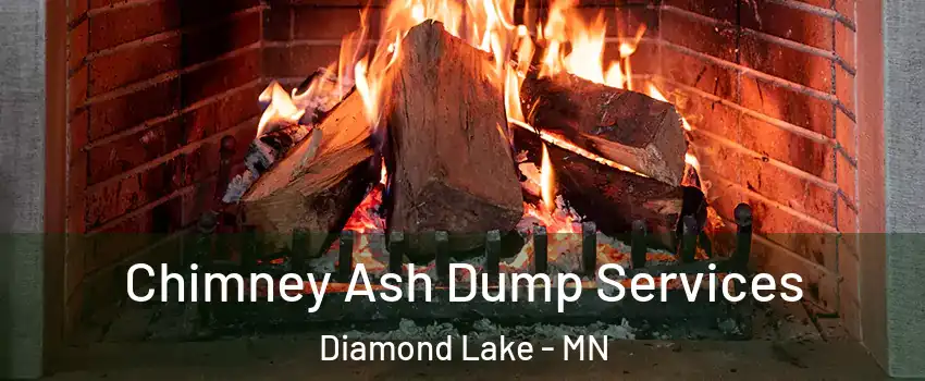 Chimney Ash Dump Services Diamond Lake - MN