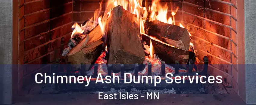 Chimney Ash Dump Services East Isles - MN