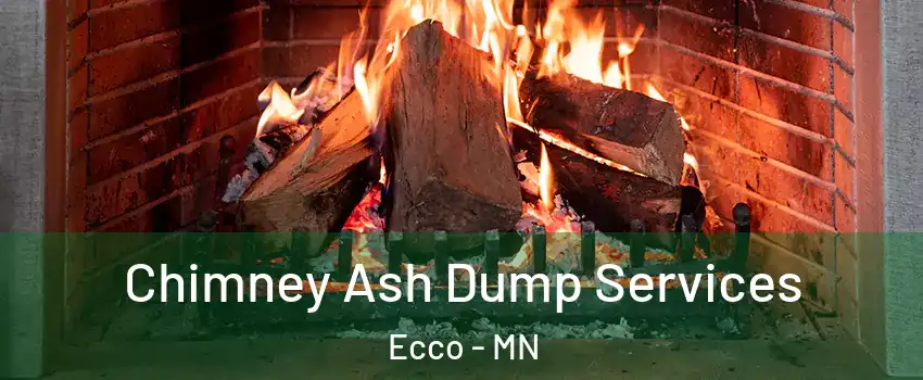 Chimney Ash Dump Services Ecco - MN