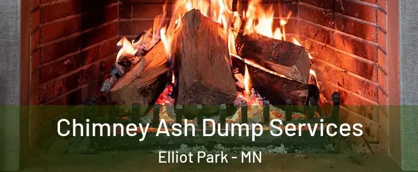 Chimney Ash Dump Services Elliot Park - MN