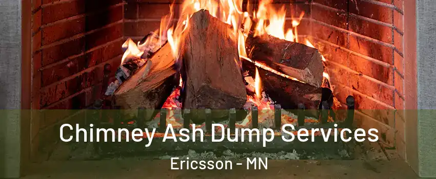 Chimney Ash Dump Services Ericsson - MN