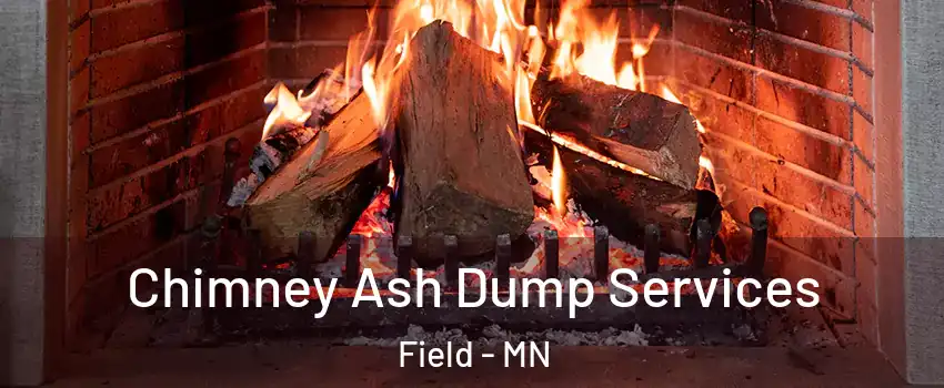 Chimney Ash Dump Services Field - MN