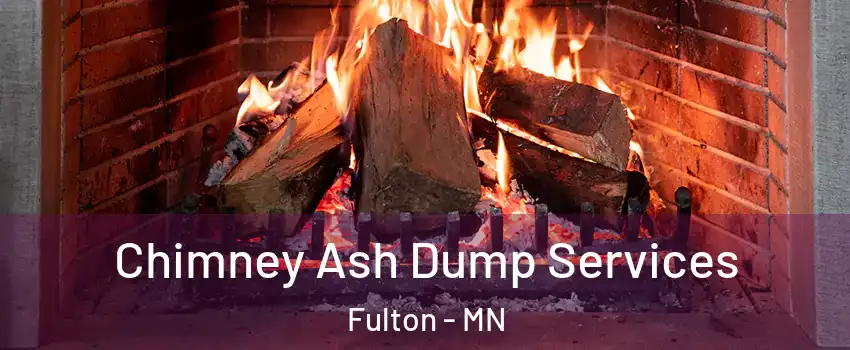 Chimney Ash Dump Services Fulton - MN