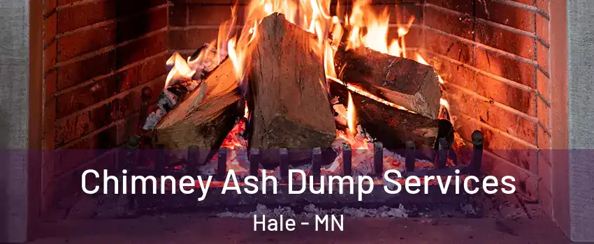 Chimney Ash Dump Services Hale - MN