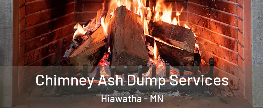 Chimney Ash Dump Services Hiawatha - MN