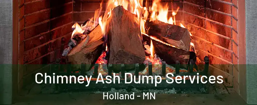 Chimney Ash Dump Services Holland - MN