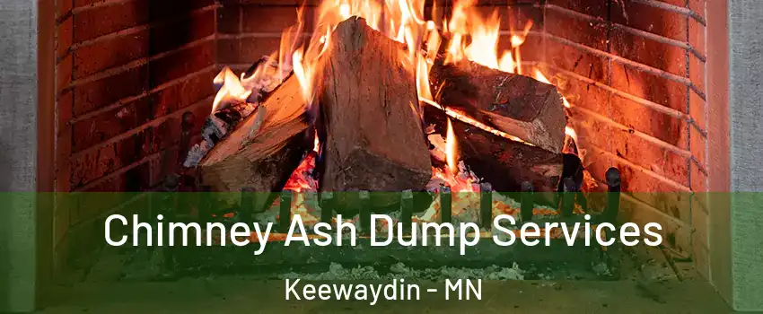 Chimney Ash Dump Services Keewaydin - MN
