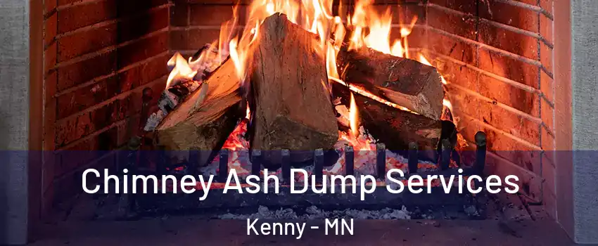 Chimney Ash Dump Services Kenny - MN