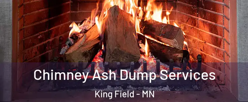 Chimney Ash Dump Services King Field - MN