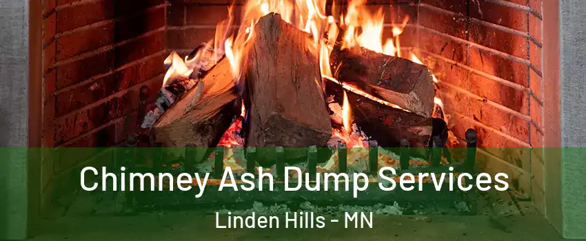 Chimney Ash Dump Services Linden Hills - MN