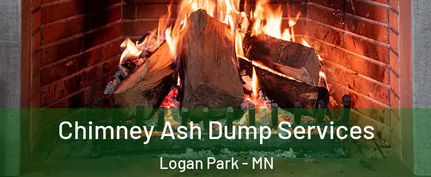 Chimney Ash Dump Services Logan Park - MN