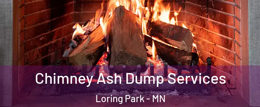 Chimney Ash Dump Services Loring Park - MN