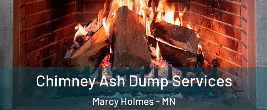 Chimney Ash Dump Services Marcy Holmes - MN