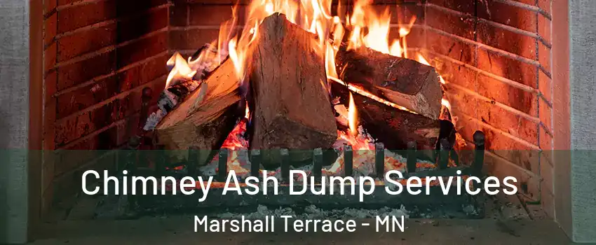 Chimney Ash Dump Services Marshall Terrace - MN