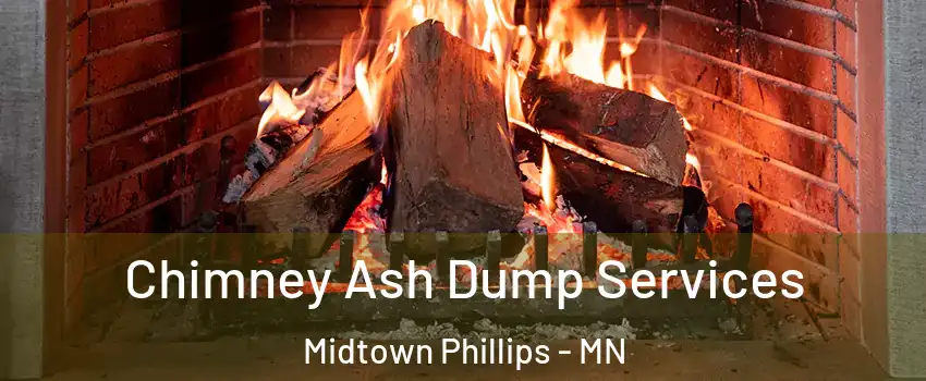 Chimney Ash Dump Services Midtown Phillips - MN