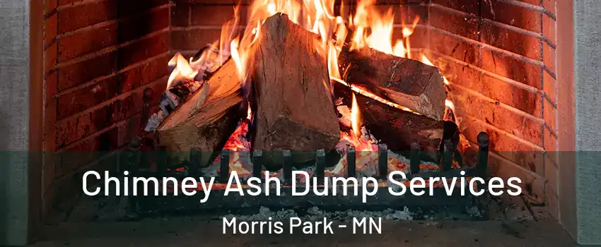 Chimney Ash Dump Services Morris Park - MN